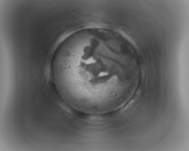 X0000113861215200909241301