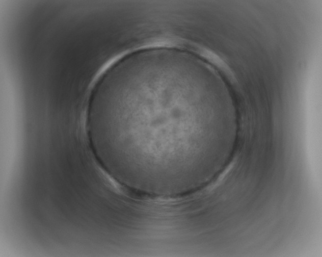X0000113861216200909241301