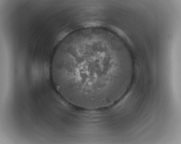 X0000113861217200909241301