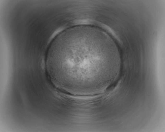 X0000113861218200909241301
