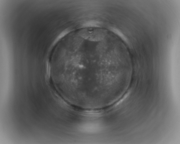 X0000113861219200909241301