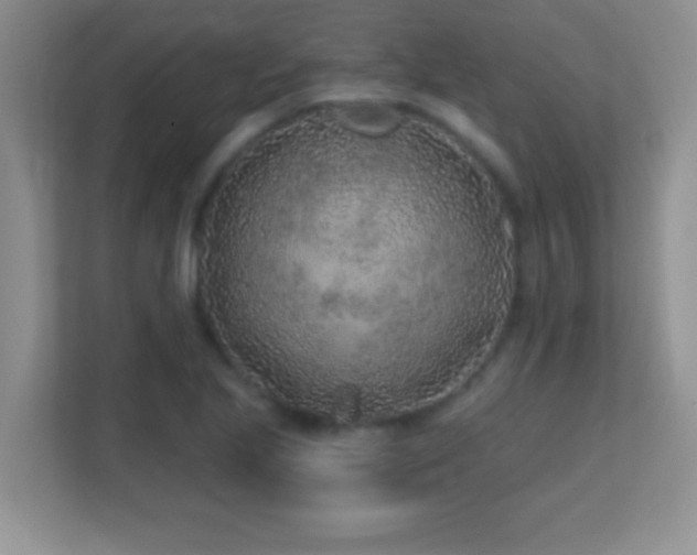 X0000113861221200909241301