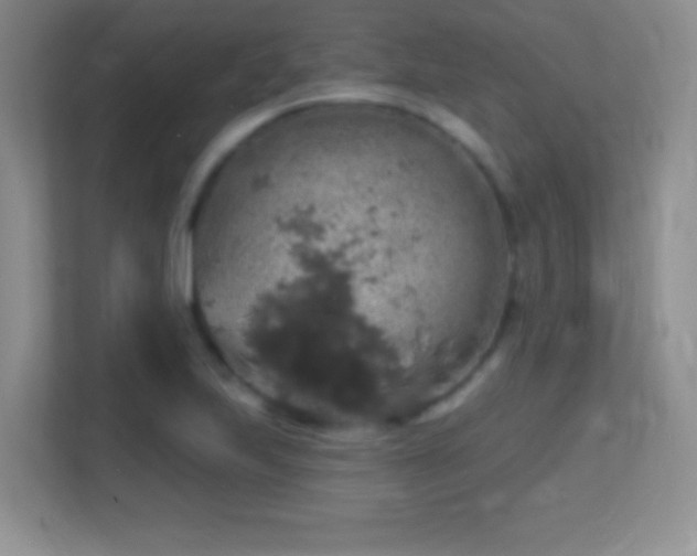 X0000113861223200909241301