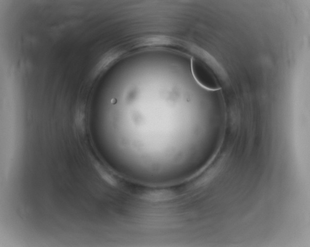 X0000113861225200909241301