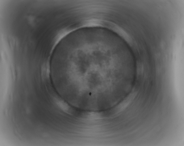 X0000113861226200909241301