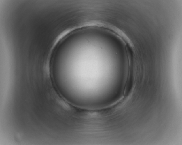 X0000113861230200909241301