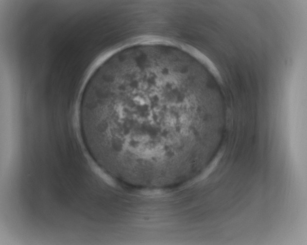 X0000113861231200909241301
