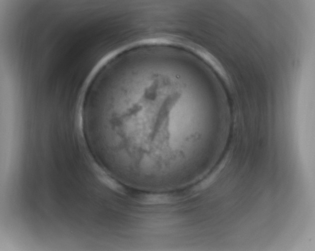X0000113861232200909241301