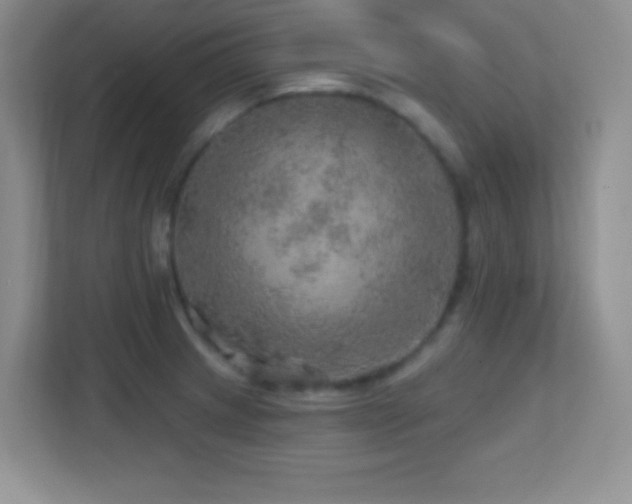X0000113861233200909241301