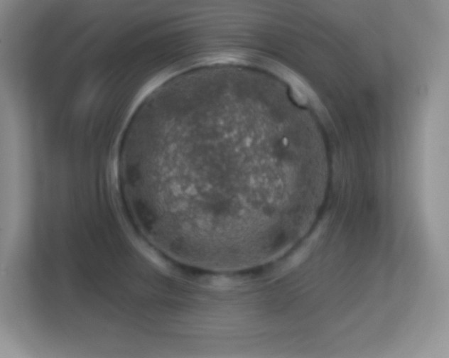 X0000113861234200909241301
