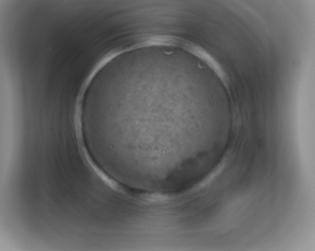 X0000113861235200909241301