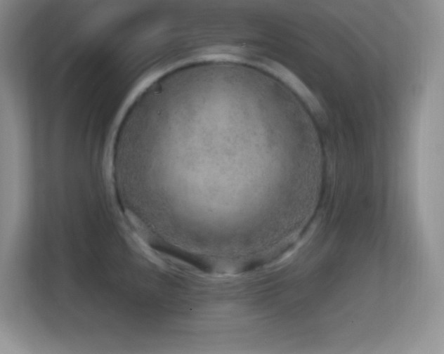 X0000113861240200909241301