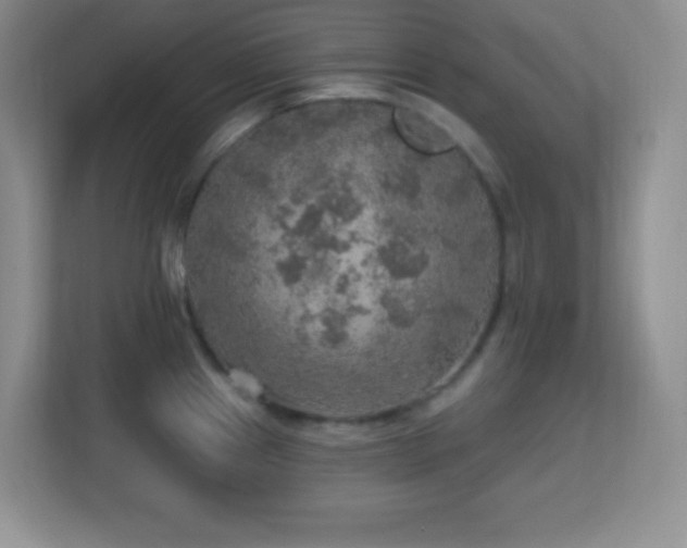 X0000113861241200909241301
