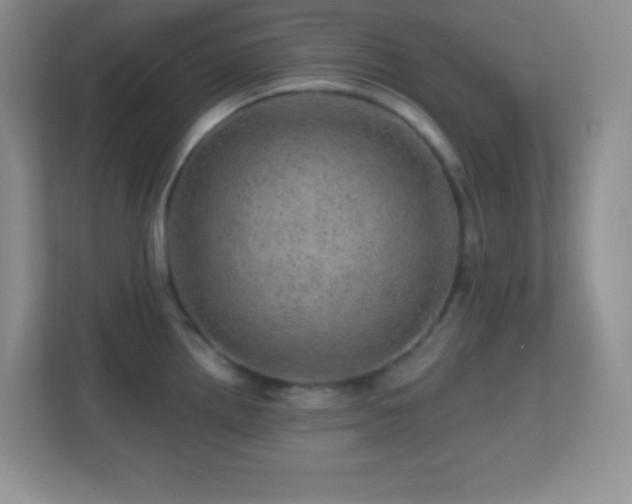 X0000113861242200909241301