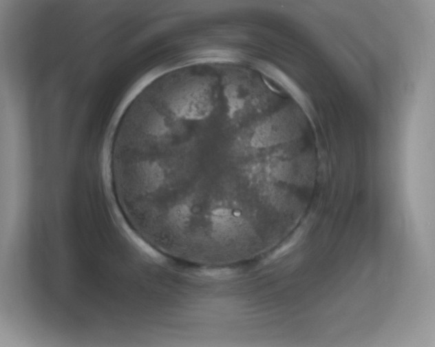X0000113861243200909241301
