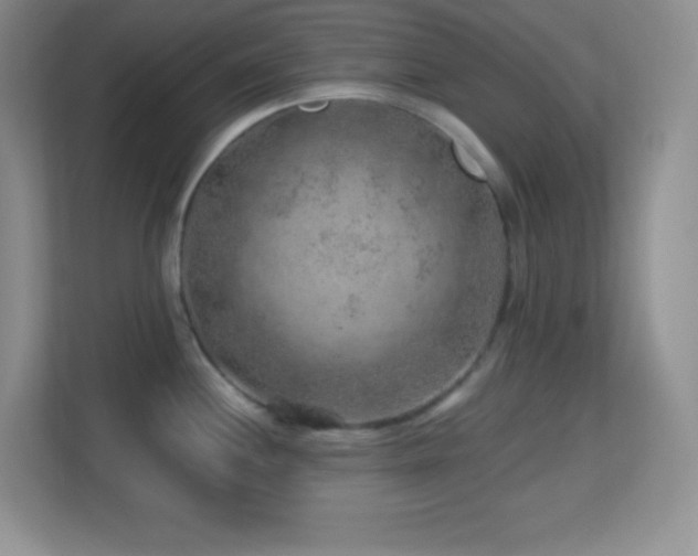 X0000113861244200909241301