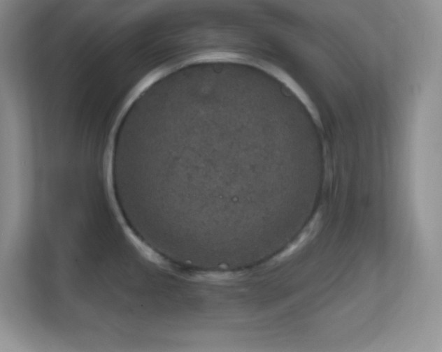 X0000113861245200909241301