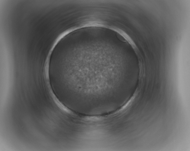 X0000113861246200909241301