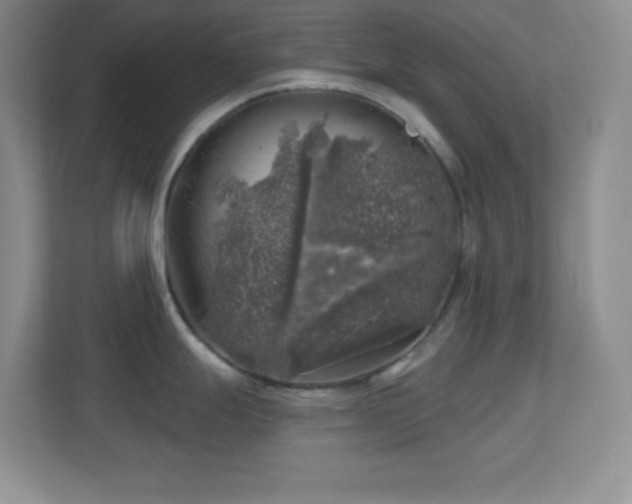 X0000113861247200909241301