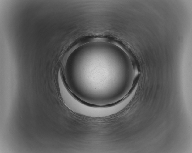 X0000113861249200909241301