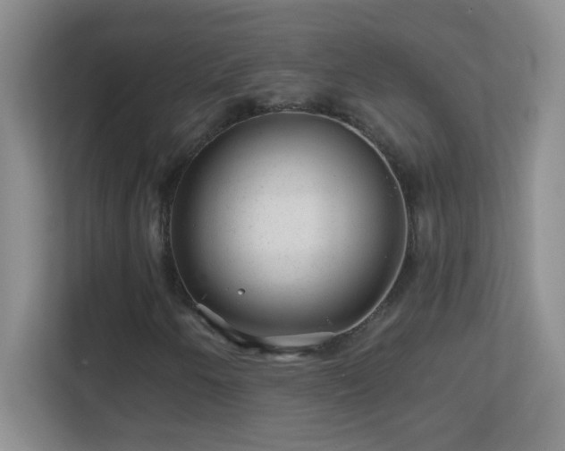 X0000113861250200909241301