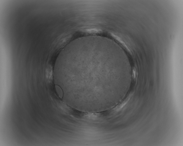 X0000113861251200909241301