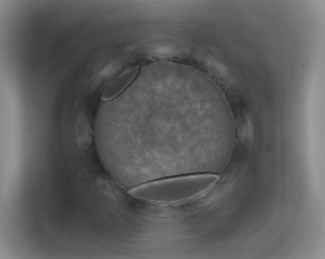 X0000113861253200909241301