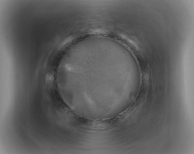 X0000113861254200909241301
