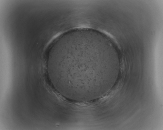 X0000113861255200909241300