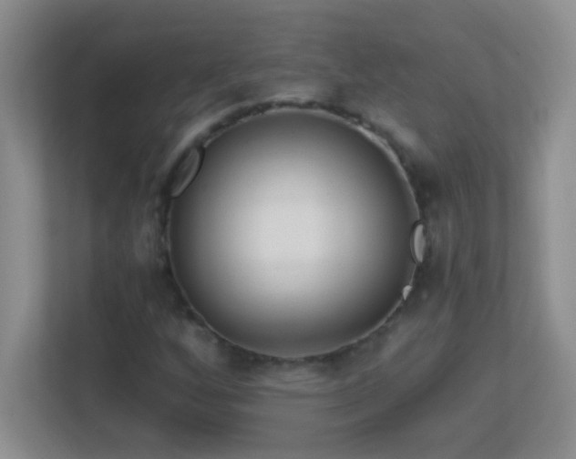 X0000113861256200909241300