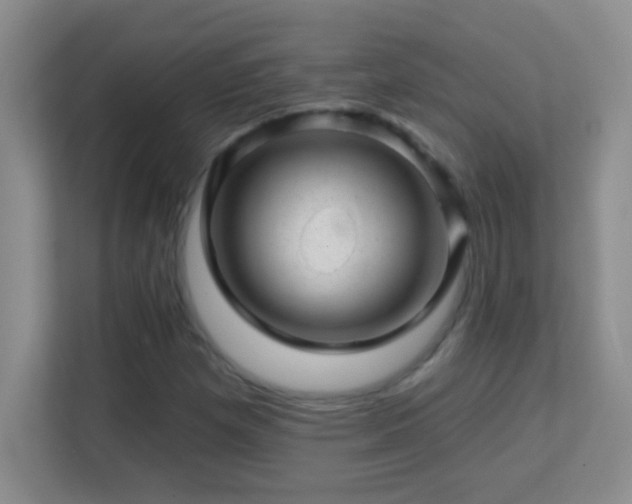 X0000113861257200909241300
