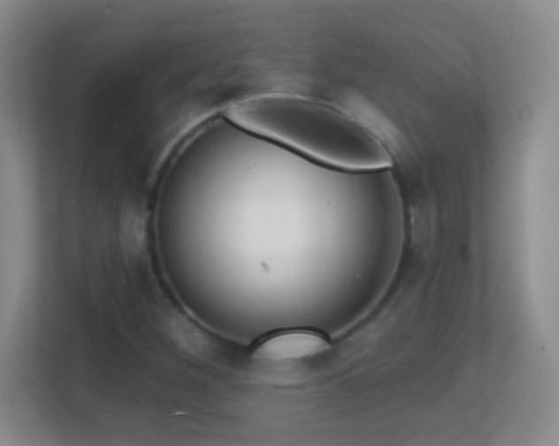 X0000113861260200909241300