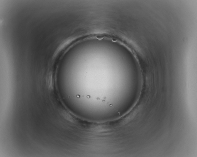 X0000113861262200909241300