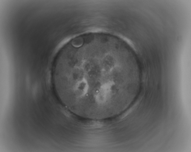 X0000113861263200909241300