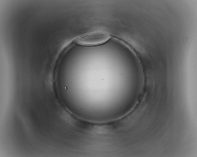 X0000113861264200909241300