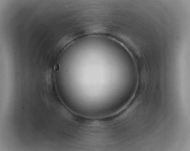 X0000113861265200909241300
