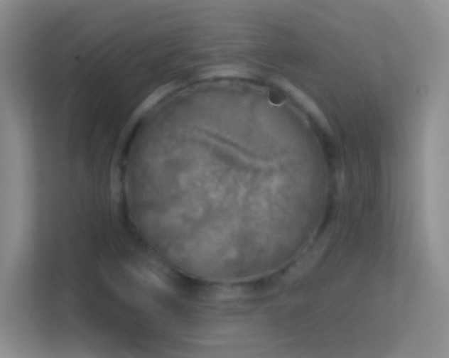 X0000113861266200909241300