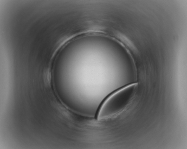 X0000113861268200909241300