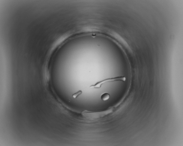 X0000113861269200909241300