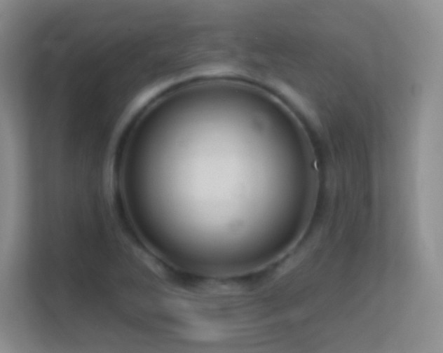 X0000113861270200909241300