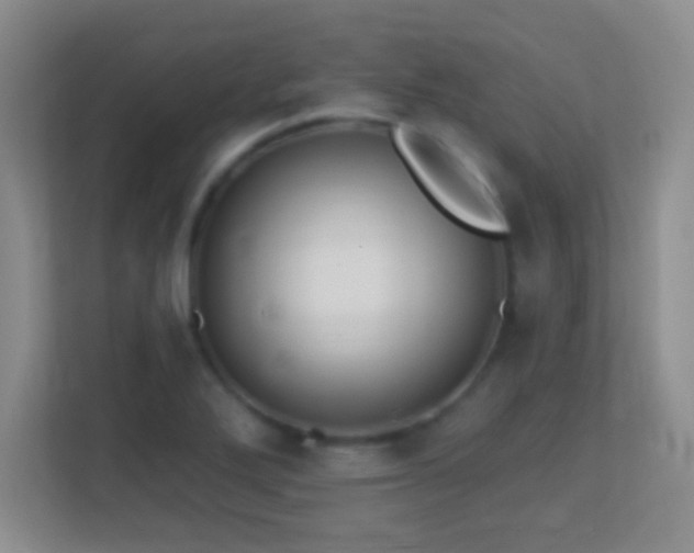 X0000113861272200909241300