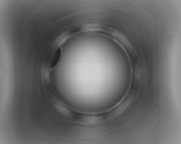 X0000113861273200909241300