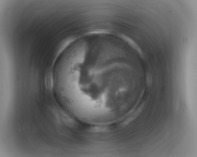 X0000113861274200909241300