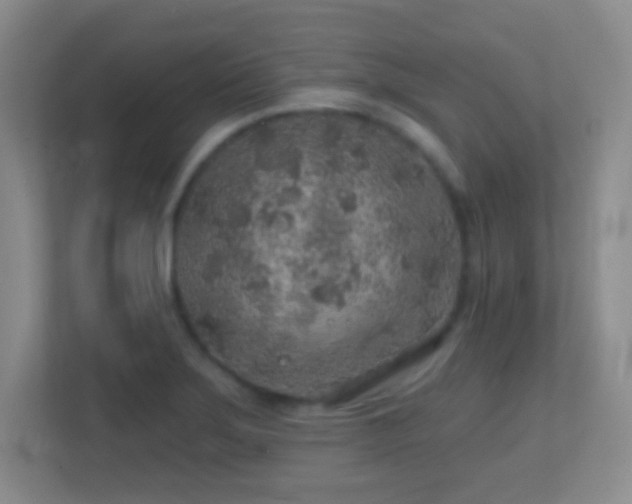 X0000113861275200909241300