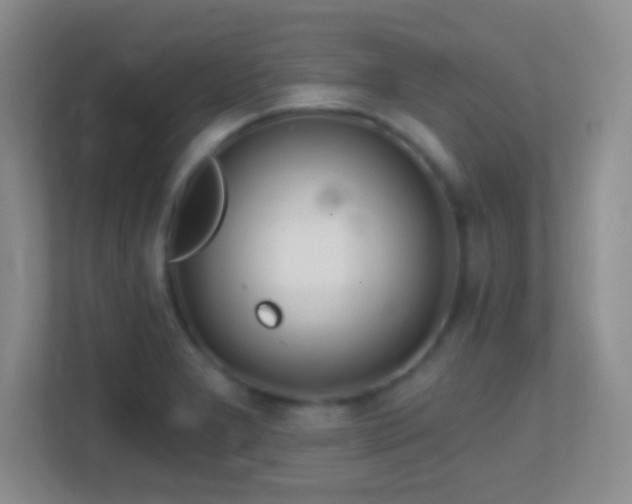 X0000113861277200909241300