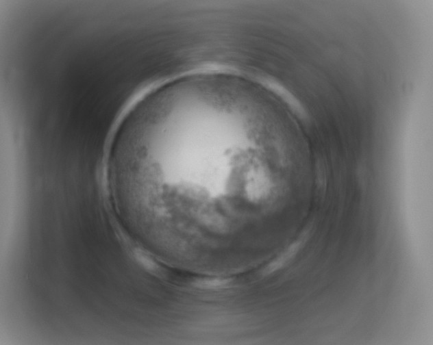 X0000113861278200909241300