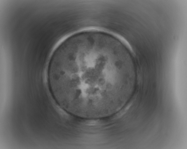 X0000113861279200909241300