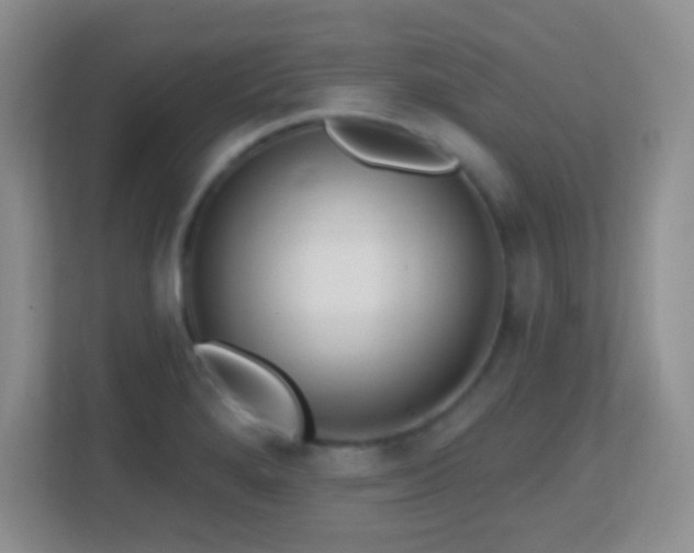 X0000113861280200909241300