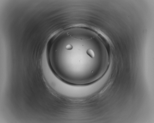 X0000113861281200909241300