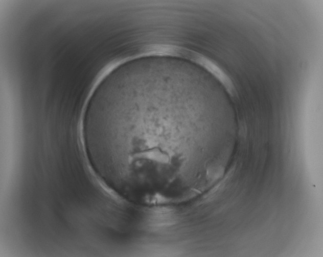 X0000113861283200909241300